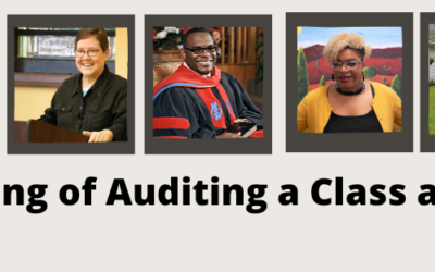 Thinking about Auditing?