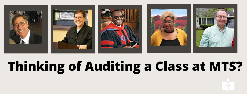 Thinking about Auditing?